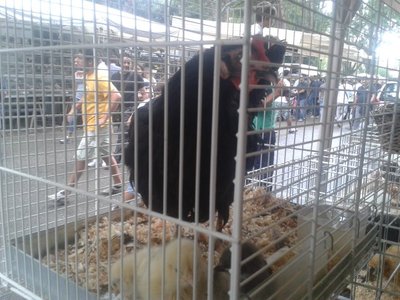 2013-08-25 11.43.50.jpg (79.99 KiB) Osservato 520 volte 2013-08-25 11.43.50.jpg