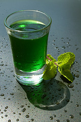 elisir-di-menta1.jpg elisir-di-menta1.jpg