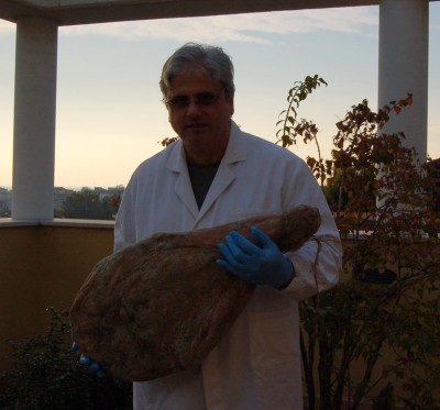 è Qui la festa.jpg (182.02 KiB) Osservato 521 volte è Qui la festa.jpg