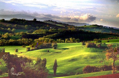 a.jpg (132.45 KiB) Osservato 1236 volte a.jpg