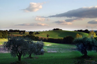 s.jpg (98.65 KiB) Osservato 705 volte s.jpg