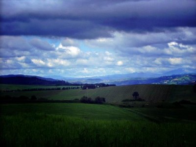 931386_629182100442950_216720681_n.jpg (20.54 KiB) Osservato 663 volte 931386_629182100442950_216720681_n.jpg