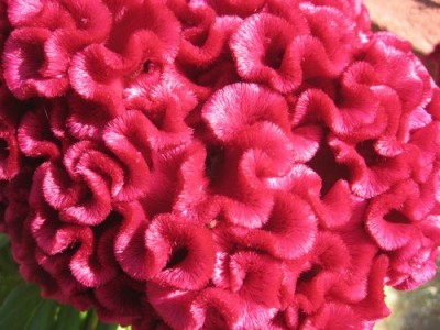 15333301.jpg (68.96 KiB) Osservato 780 volte 15333301.jpg