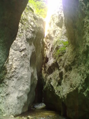 gole.jpg (154.79 KiB) Osservato 556 volte gole.jpg