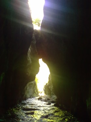 gole2.jpg (81.41 KiB) Osservato 556 volte gole2.jpg