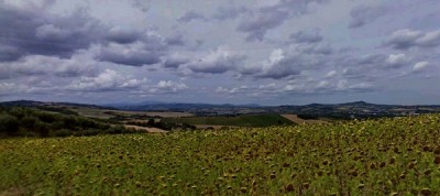 IMG_8284.jpg (48.6 KiB) Osservato 641 volte IMG_8284.jpg