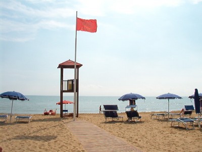 IM002.JPG (77.76 KiB) Osservato 680 volte IM002.JPG