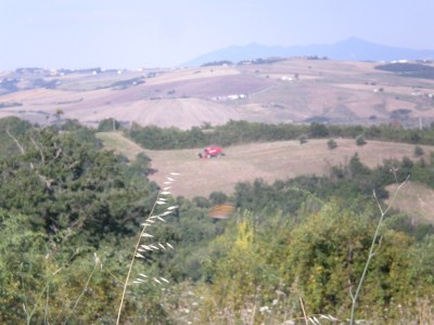 DSCN9959.JPG (153.15 KiB) Osservato 549 volte DSCN9959.JPG