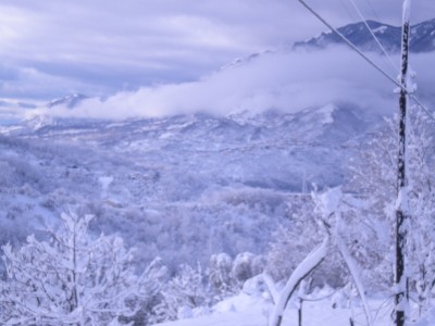 DSCN9372.JPG (127.22 KiB) Osservato 549 volte DSCN9372.JPG