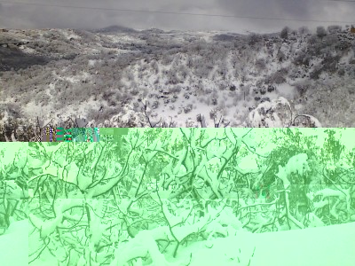 P040212_09.55.jpg (228.31 KiB) Osservato 665 volte P040212_09.55.jpg