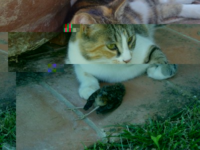 Frida-2.jpg (136.48 KiB) Osservato 635 volte Frida-2.jpg