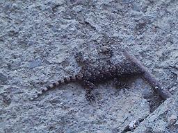 gekino.JPG gekino.JPG