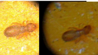 801.jpg (55.17 KiB) Osservato 653 volte 801.jpg