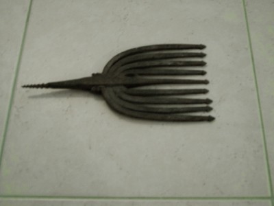 -Nome dell'oggetto: ?? -Descrizione dell'oggetto: Simile ad una forca o ad un arpione, ha nove denti, il cuneo da piantare in un eventale manico ha forma a cavatappi; utilizzo sconsciuto -Luogo di ritrovamento o recupero: Friuli, provincia di Udine -Data presunta di fabbricazione: Tra i secoli IX e XX / IMAG1308.JPG IMAG1308.JPG