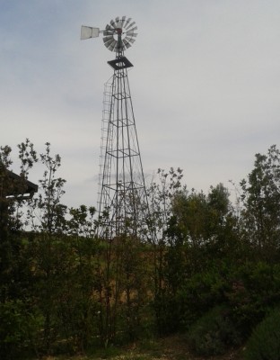 20140511_163359.jpg (341.09 KiB) Osservato 1583 volte 20140511_163359.jpg