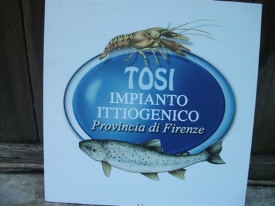 DSCF4406_2.JPG (43.15 KiB) Osservato 1194 volte DSCF4406_2.JPG