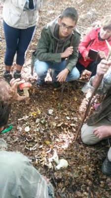 3.jpg (108.86 KiB) Osservato 2038 volte 3.jpg