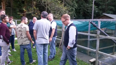 7a.jpg (107.02 KiB) Osservato 2288 volte 7a.jpg