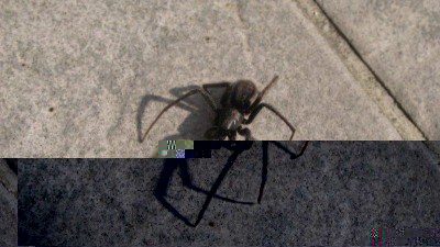 IMG_1928.JPG (67.78 KiB) Osservato 554 volte IMG_1928.JPG