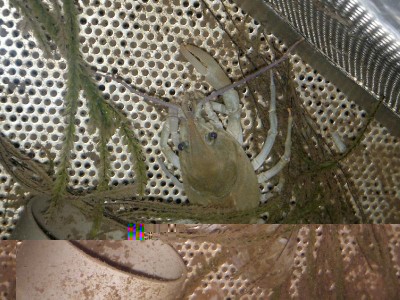 27092014705.jpg (129.58 KiB) Osservato 2023 volte 27092014705.jpg