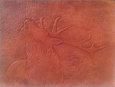 10b.jpg (119.52 KiB) Osservato 903 volte 10b.jpg