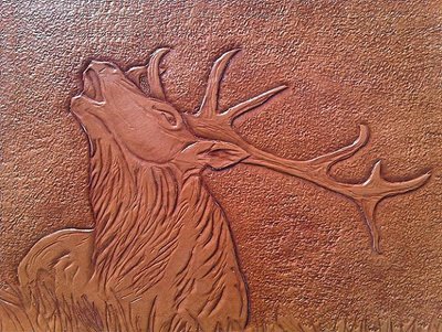 11.jpg (153.41 KiB) Osservato 887 volte 11.jpg