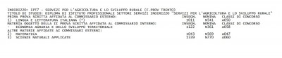 Professionale1.jpg (87.22 KiB) Osservato 1624 volte Professionale1.jpg