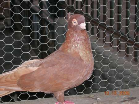 normal_417722.jpg normal_417722.jpg