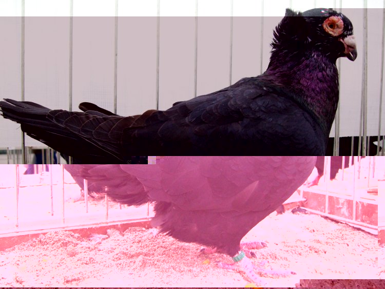 100_0801.JPG 100_0801.JPG