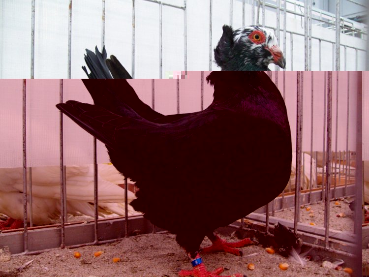 100_0828.JPG 100_0828.JPG