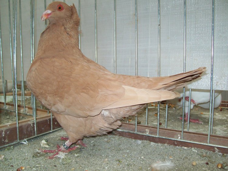 100_0814.JPG 100_0814.JPG