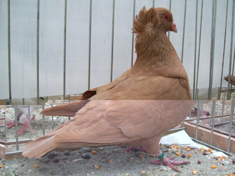 100_0809.JPG 100_0809.JPG