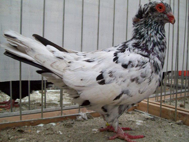 100_0802.JPG 100_0802.JPG