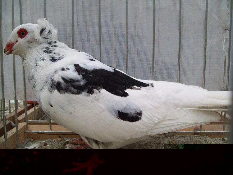 100_0805.JPG 100_0805.JPG