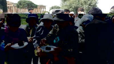 carciofo (2).jpg (76.61 KiB) Osservato 504 volte carciofo (2).jpg