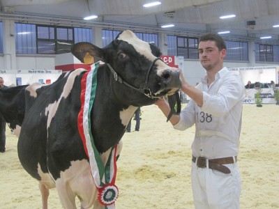 Foto 1.JPG (2.36 MiB) Osservato 625 volte Foto 1.JPG