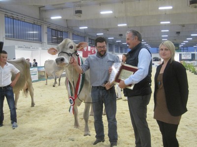 foto 2.JPG (265.88 KiB) Osservato 655 volte foto 2.JPG