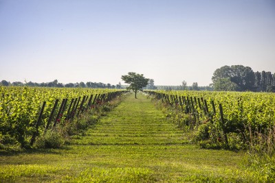 ABL17101.jpg (596.63 KiB) Osservato 523 volte ABL17101.jpg