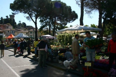 foto3.jpg (92.76 KiB) Osservato 566 volte foto3.jpg