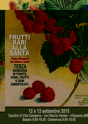 volantino-2015-fronte3L.JPG (434.59 KiB) Osservato 844 volte volantino-2015-fronte3L.JPG