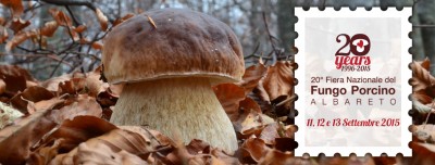 fieradialbareto_19962015.jpg (210.39 KiB) Osservato 840 volte fieradialbareto_19962015.jpg