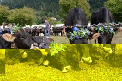 BIS_1221.jpg (882.54 KiB) Osservato 907 volte BIS_1221.jpg