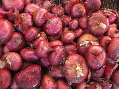 saporicipolla.jpg (255.27 KiB) Osservato 714 volte saporicipolla.jpg