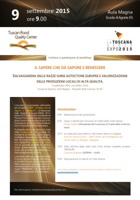 workshop.jpg (143.96 KiB) Osservato 498 volte workshop.jpg