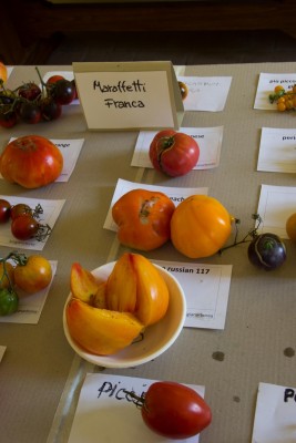 Mostra 2015-0097 orange russian 117.jpg (266.58 KiB) Osservato 927 volte Mostra 2015-0097 orange russian 117.jpg