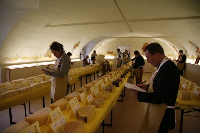 _MG_8062.jpg (1.24 MiB) Osservato 663 volte _MG_8062.jpg