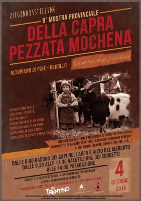 pezzata.jpg (172.76 KiB) Osservato 794 volte pezzata.jpg