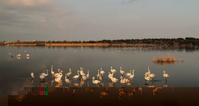 002.jpg (44.39 KiB) Osservato 687 volte 002.jpg