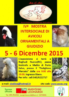 Immagine.jpg (133.74 KiB) Osservato 849 volte Immagine.jpg