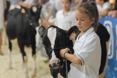 Bovimac_lab bambini.jpg (444.42 KiB) Osservato 760 volte Bovimac_lab bambini.jpg